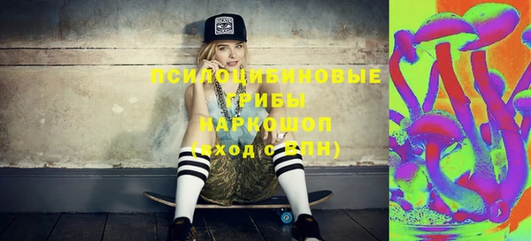 молекула духа Переславль-Залесский